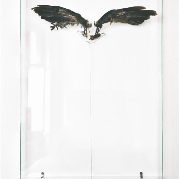 Katalog - HANNES EDDELBÜTTEL - 2010 Katalog - HANNES EDDELBÜTTEL - 2010